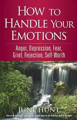 Picture of How to Handle Your Emotions