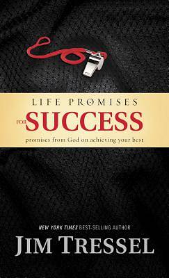 Picture of Life Promises for Success