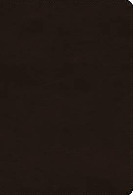 Picture of ESV Giant Print Thinline Bible (Trutone, Deep Brown)