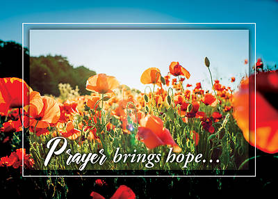 Picture of Hope Blooms Encouragement Box Cards (Box of 12)