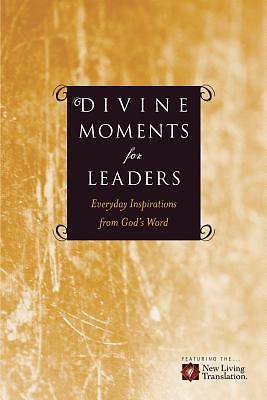 Picture of Divine Moments for Leaders