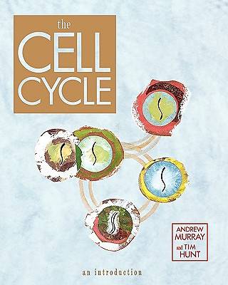 Picture of The Cell Cycle