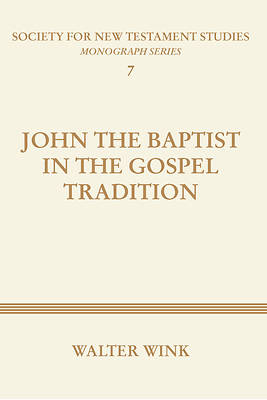 Picture of John the Baptist in the Gospel Tradition