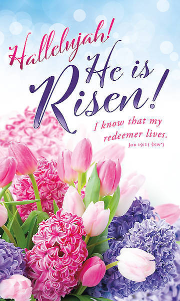 Picture of Hallelujah He is Risen Easter 3' x 5' Vinyl Banner