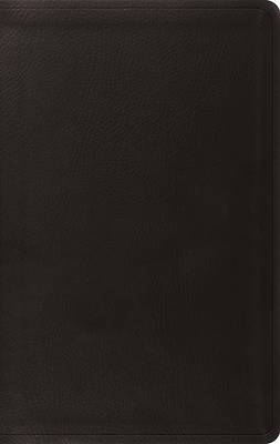 Picture of ESV Value Thinline Bible (Trutone, Black)