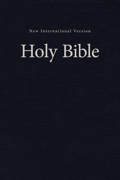 Picture of NIV Value Pew and Worship Bible Blue - Case of 16