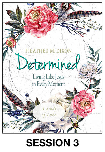Picture of Determined - Women's Bible Study Streaming Video Session 3