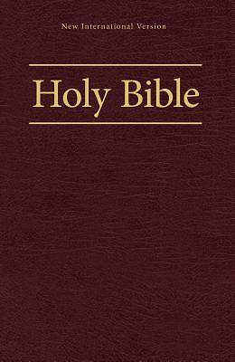 Picture of NIV Worship Bible