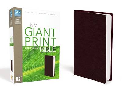 Picture of NIV Compact Bible, Giant Print