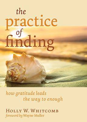 Picture of The Practice of Finding - eBook [ePub]