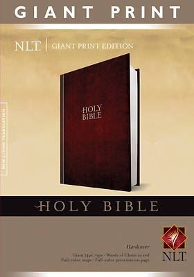 Picture of New Living Translation Holy Bible