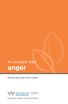 Picture of Insight Into Anger