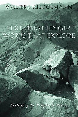Picture of Texts That Linger, Words That Explode