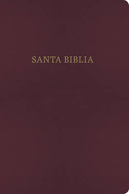 Picture of Bilingual Bible RV 1960/KJV