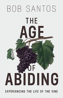 Picture of The Age of Abiding