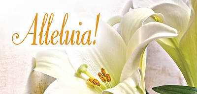Picture of Alleluia! Easter Lilies Offering Envelope (Pkg of 50)