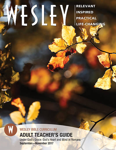 Picture of WESLEY ADULT BIBLE STUDENT LARGE PRINT FALL