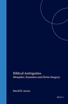 Picture of Biblical Ambiguities