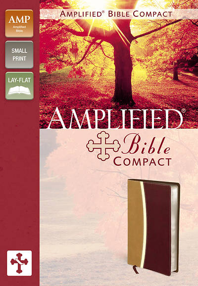 Picture of Amplified Bible, Compact