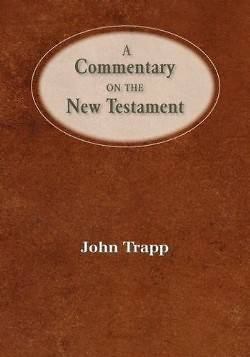 Picture of A Commentary of the New Testament