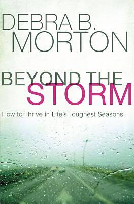 Picture of Beyond the Storm
