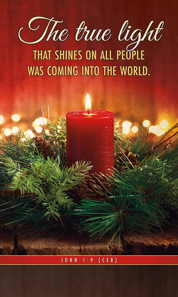 Picture of Banner Christmas The True Light that Shines 3x5 Fabric