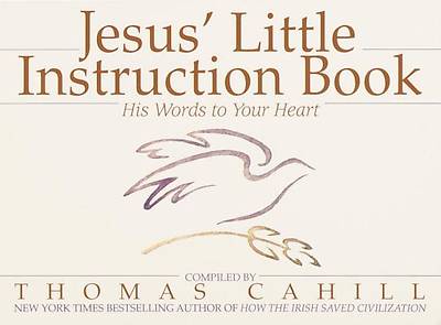 Picture of Jesus' Little Instruction Book