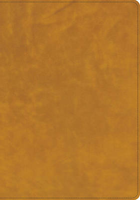 CSB Lumen Dei Bible, Lux Vitae