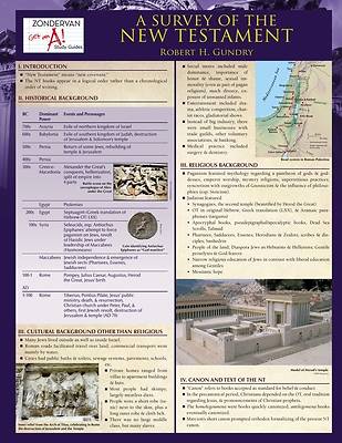Picture of A Survey of the New Testament Laminated Sheet - eBook [ePub]