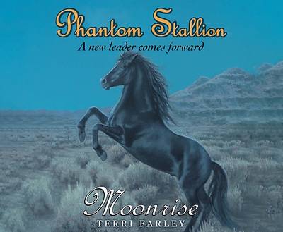 Picture of Phantom Stallion, Volume 14