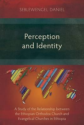 Picture of Perception and Identity
