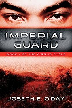 Picture of Imperial Guard