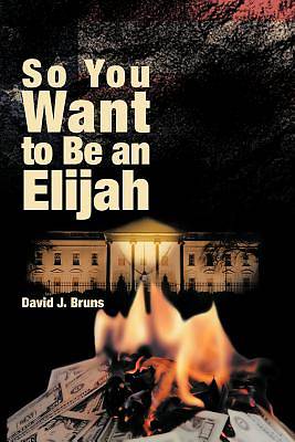 Picture of So You Want to Be an Elijah