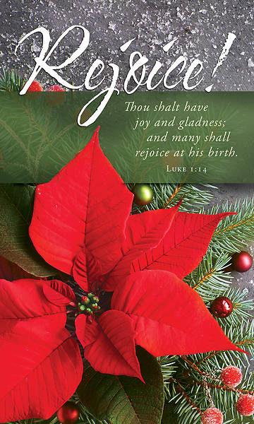 Picture of Rejoice! Christmas 3' X 5' Fabric Banner