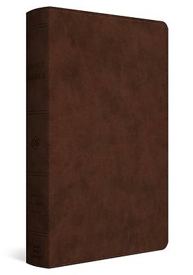Picture of ESV Holy Bible