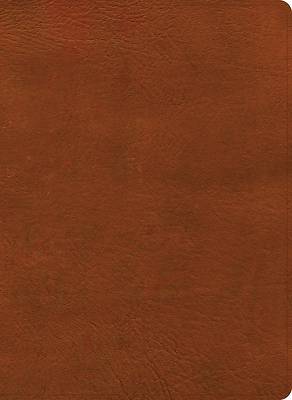 Picture of NASB Study Bible, Burnt Sienna Leathertouch