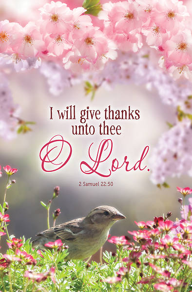 Picture of Give Thanks General Spring Regular Size Bulletin