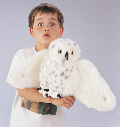 Picture of Vacation Bible School VBS 2022 God's Wonder Lab Snowy Owl Puppet