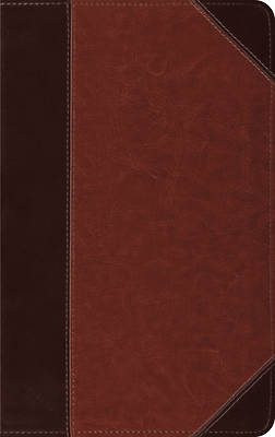 Picture of English Standard Version Thinline Portfolio Bible