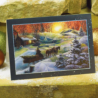 Picture of Beauty of the Season Boxed Card - Box of 20