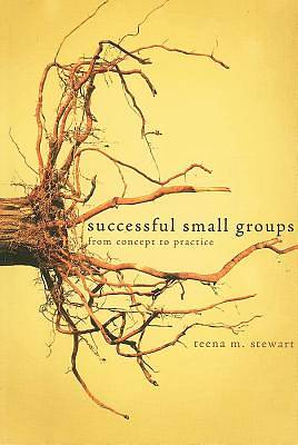 Picture of Successful Small Groups