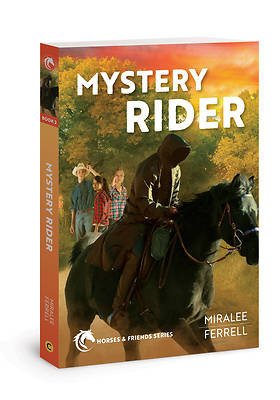 Picture of Mystery Rider