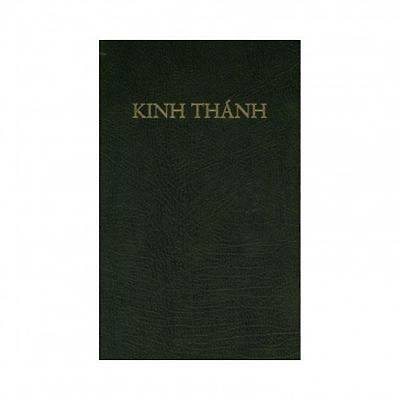 Picture of Vietnamese Bible