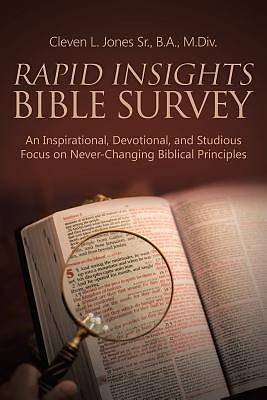 Picture of Rapid Insights Bible Survey