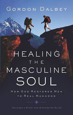 Picture of Healing the Masculine Soul