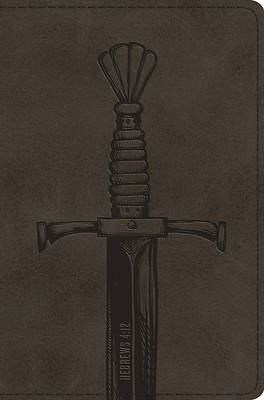 Picture of ESV Compact Bible (Trutone, Silver Sword)
