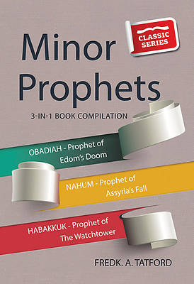 Picture of Minor Prophets - Book 4