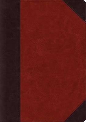 Picture of ESV Systematic Theology Study Bible (Trutone, Brown)