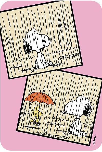 Picture of Peanuts Encouragement - Storms of Life - 6 Premium Cards