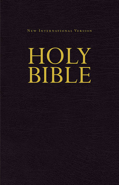 Picture of NIV Economy Bible